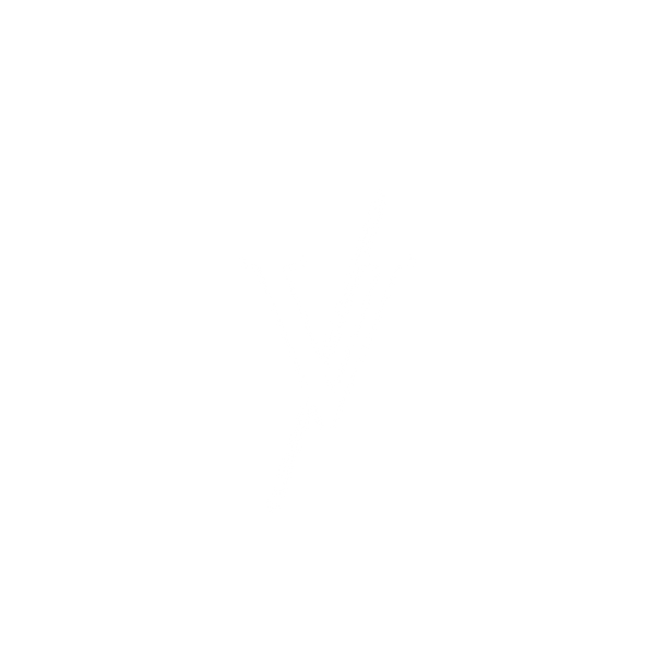 Veniccio
